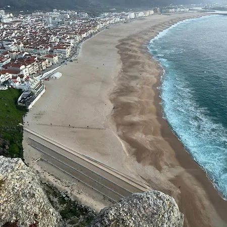 Appartement Miranda House